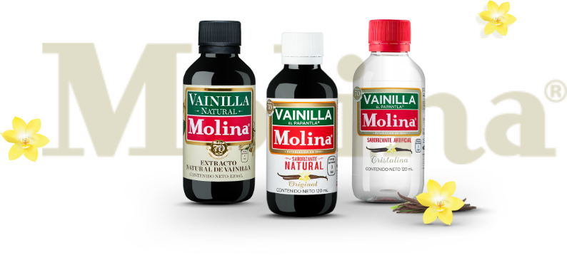 Grupo Molina